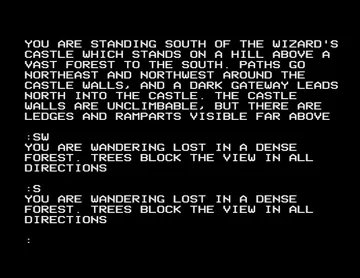 Castle of Riddles (198x)(Acornsoft) screen shot game playing